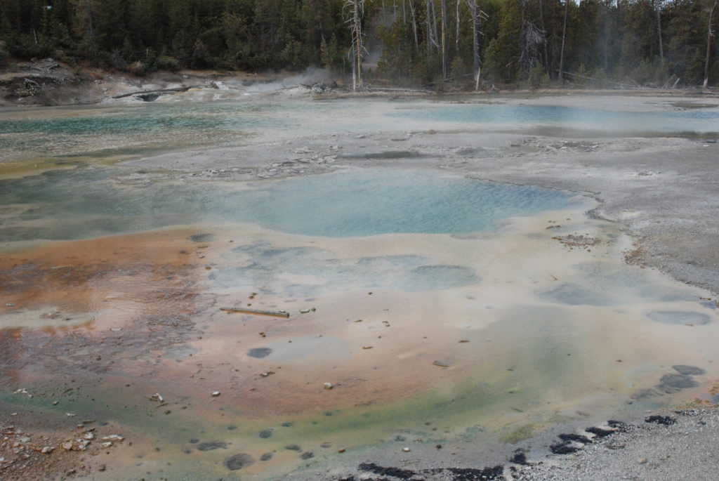 Things to Know Before Visiting Yellowstone National Park