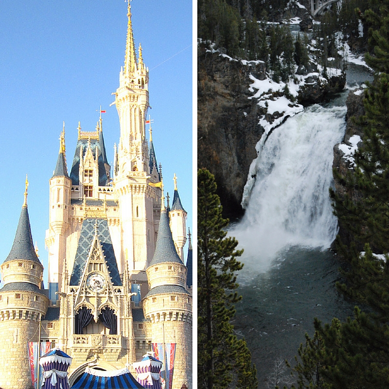 Disney World vs Yellowstone. 